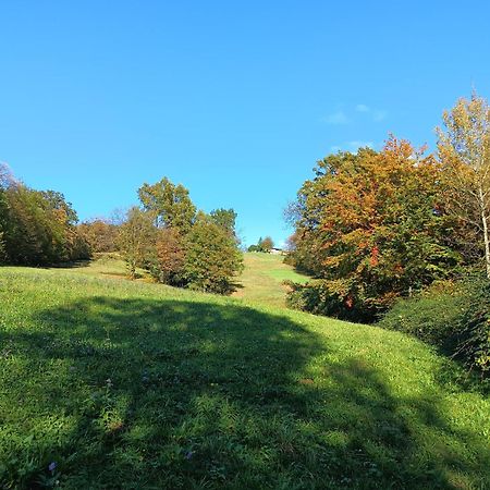 Agriturismo Fattoria Ortoalpino Trichiana Bagian luar foto
