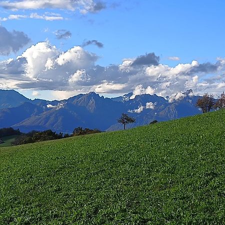 Agriturismo Fattoria Ortoalpino Trichiana Bagian luar foto