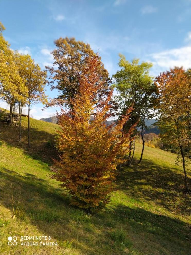 Agriturismo Fattoria Ortoalpino Trichiana Bagian luar foto
