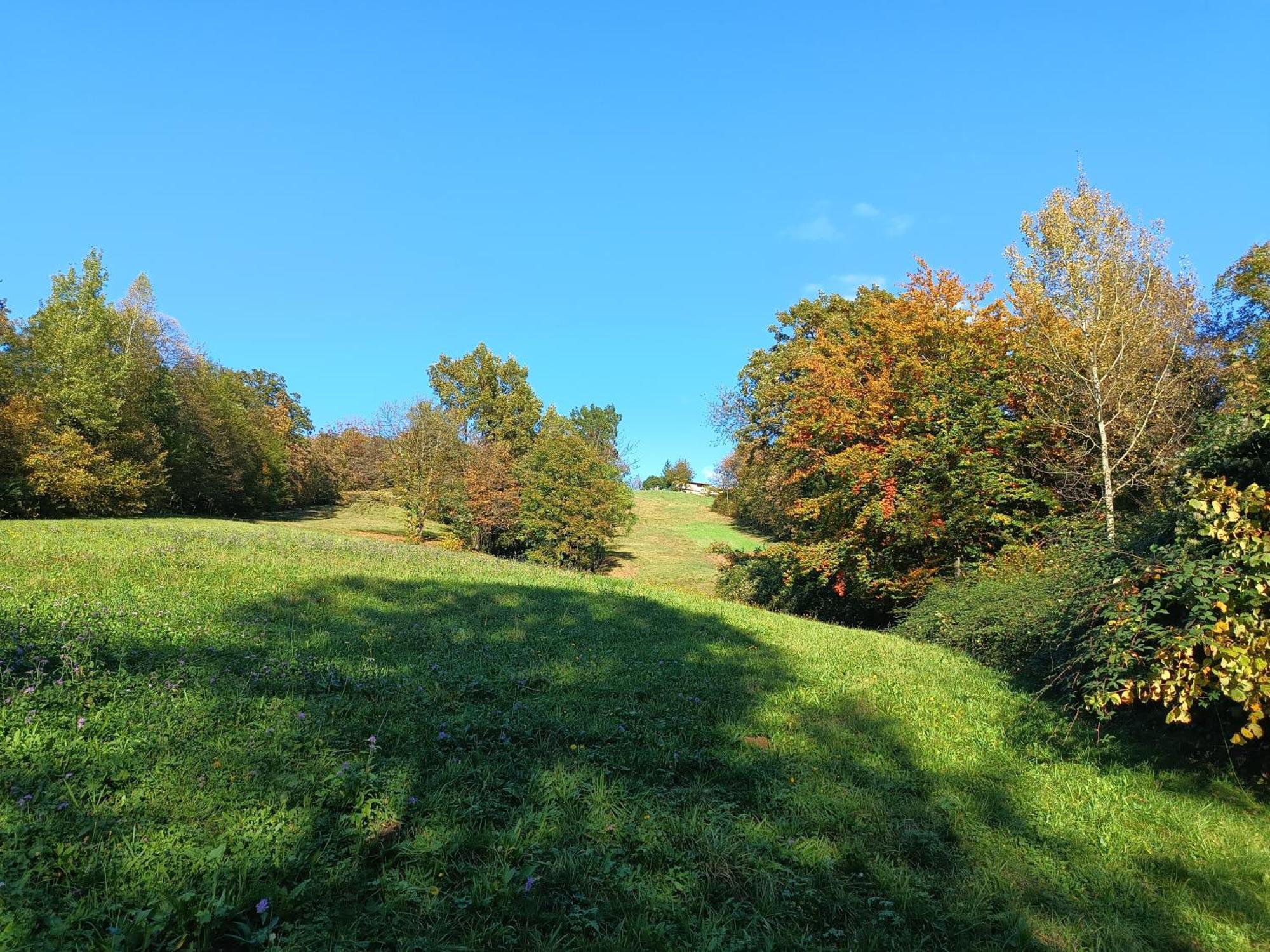 Agriturismo Fattoria Ortoalpino Trichiana Bagian luar foto