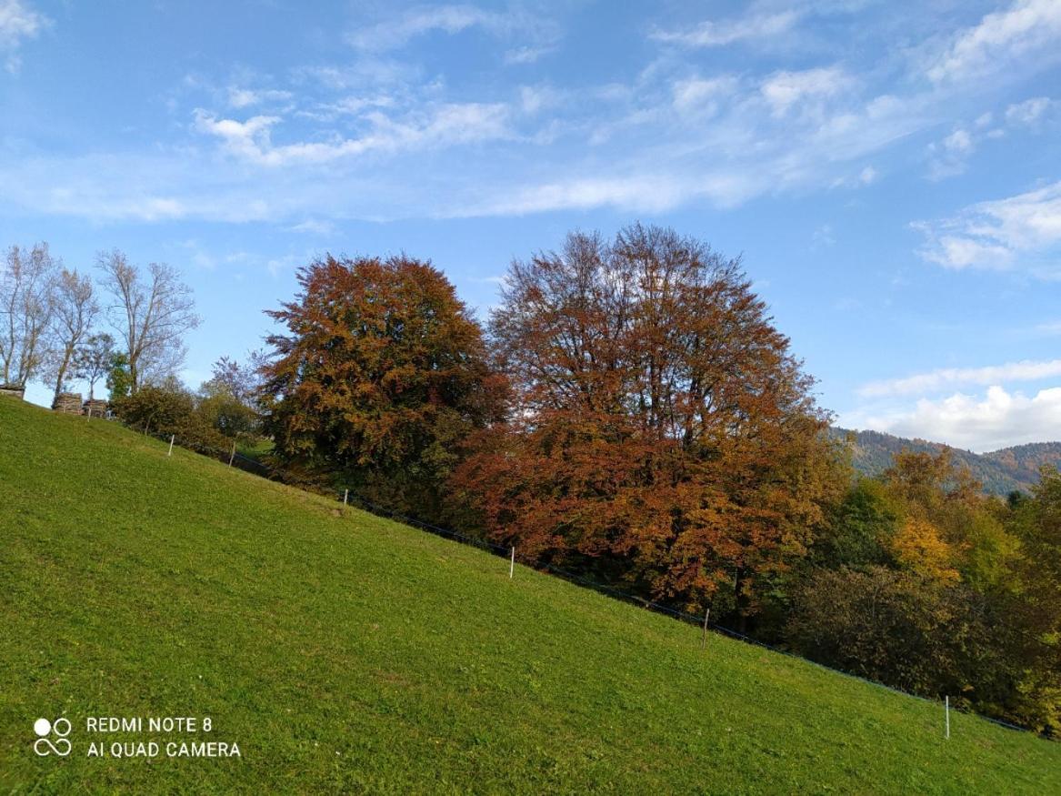 Agriturismo Fattoria Ortoalpino Trichiana Bagian luar foto