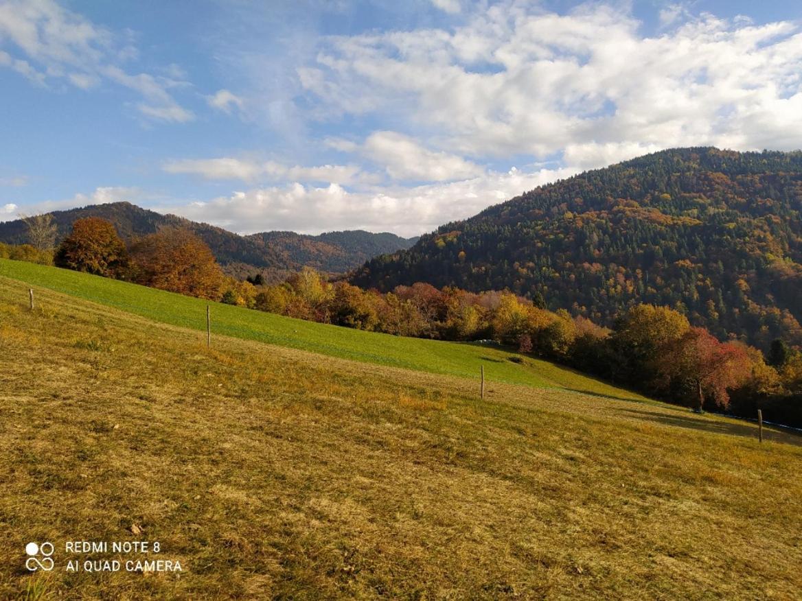 Agriturismo Fattoria Ortoalpino Trichiana Bagian luar foto