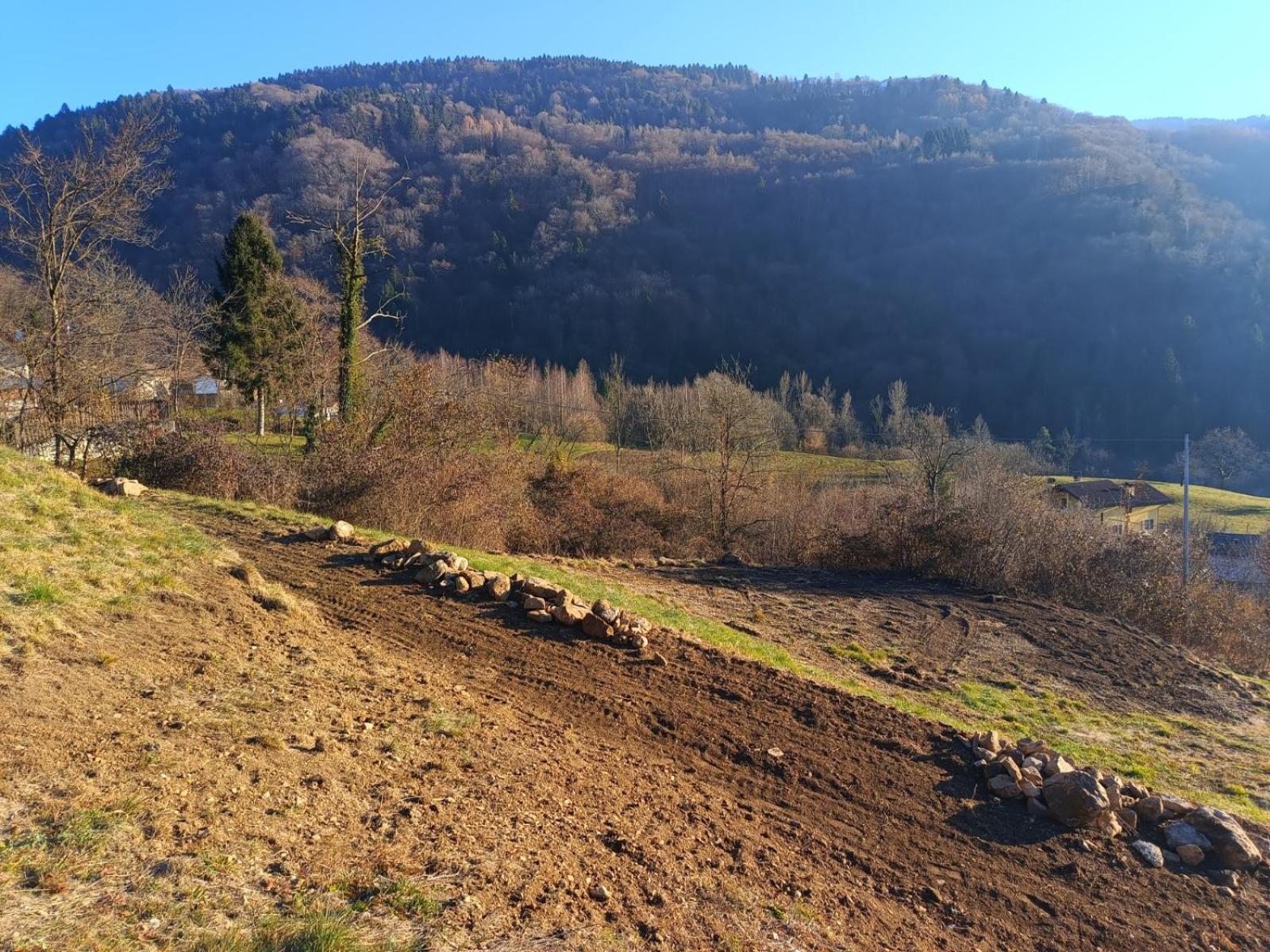 Agriturismo Fattoria Ortoalpino Trichiana Bagian luar foto