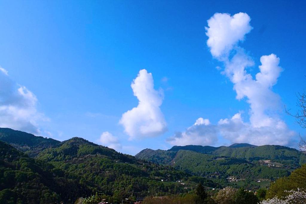 Agriturismo Fattoria Ortoalpino Trichiana Bagian luar foto