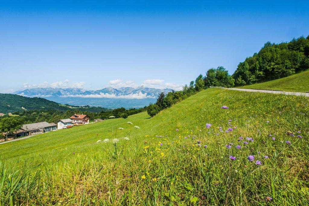 Agriturismo Fattoria Ortoalpino Trichiana Bagian luar foto