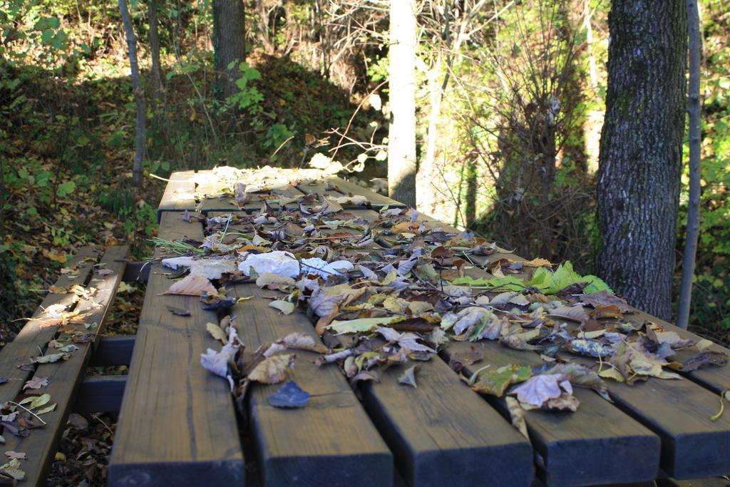 Agriturismo Fattoria Ortoalpino Trichiana Bagian luar foto