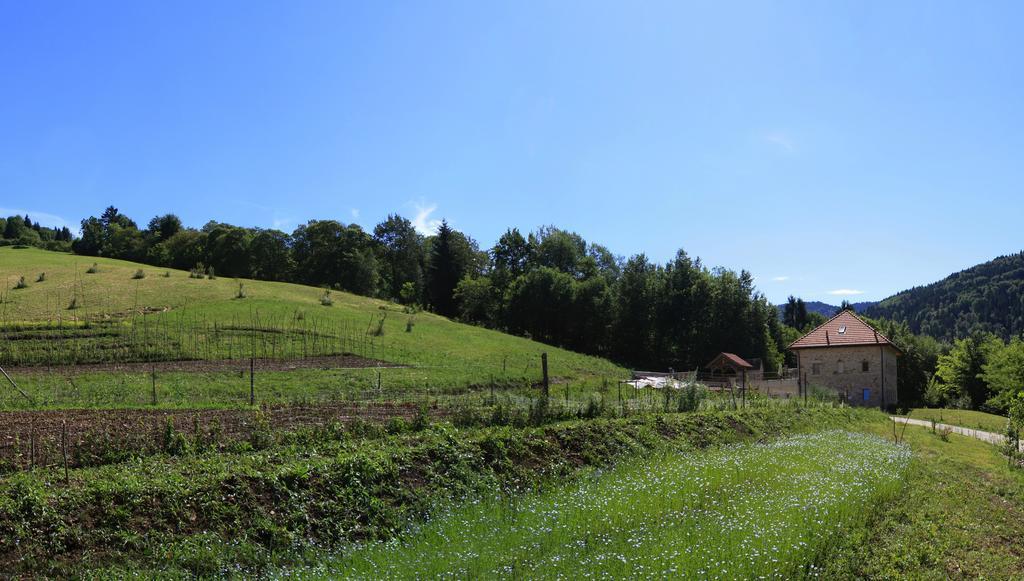 Agriturismo Fattoria Ortoalpino Trichiana Bagian luar foto